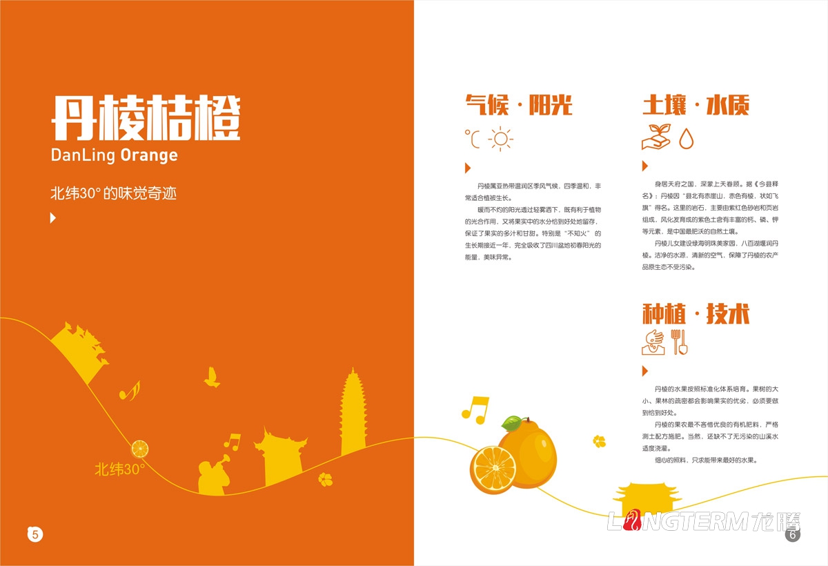 丹棱桔橙招商手冊設計|水果桔橙不知火春見清見愛媛38號春香桔柚產品項目招商畫冊設計