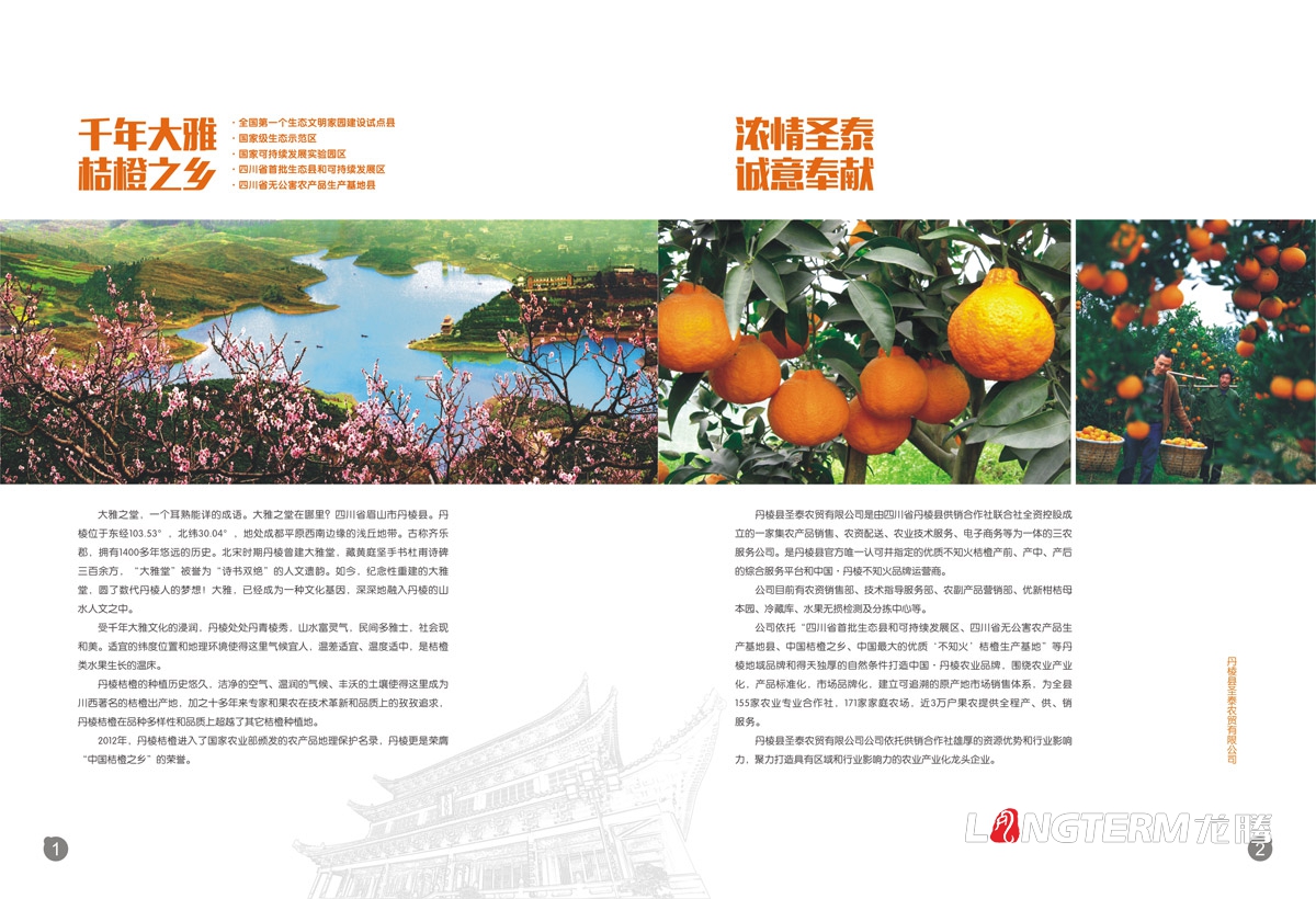丹棱桔橙招商手冊設計|水果桔橙不知火春見清見愛媛38號春香桔柚產品項目招商畫冊設計