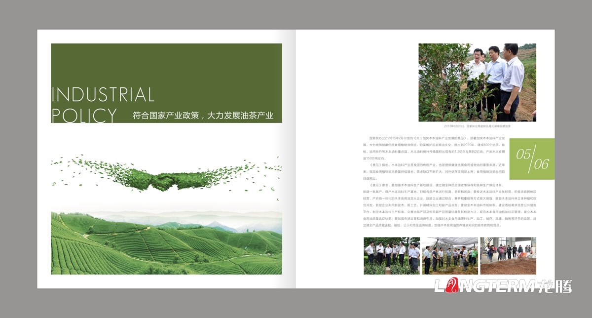 東方烏蒙企業形象畫冊設計|茶油產業基地宣傳冊設計|鄉村生態旅游宣傳畫冊設計