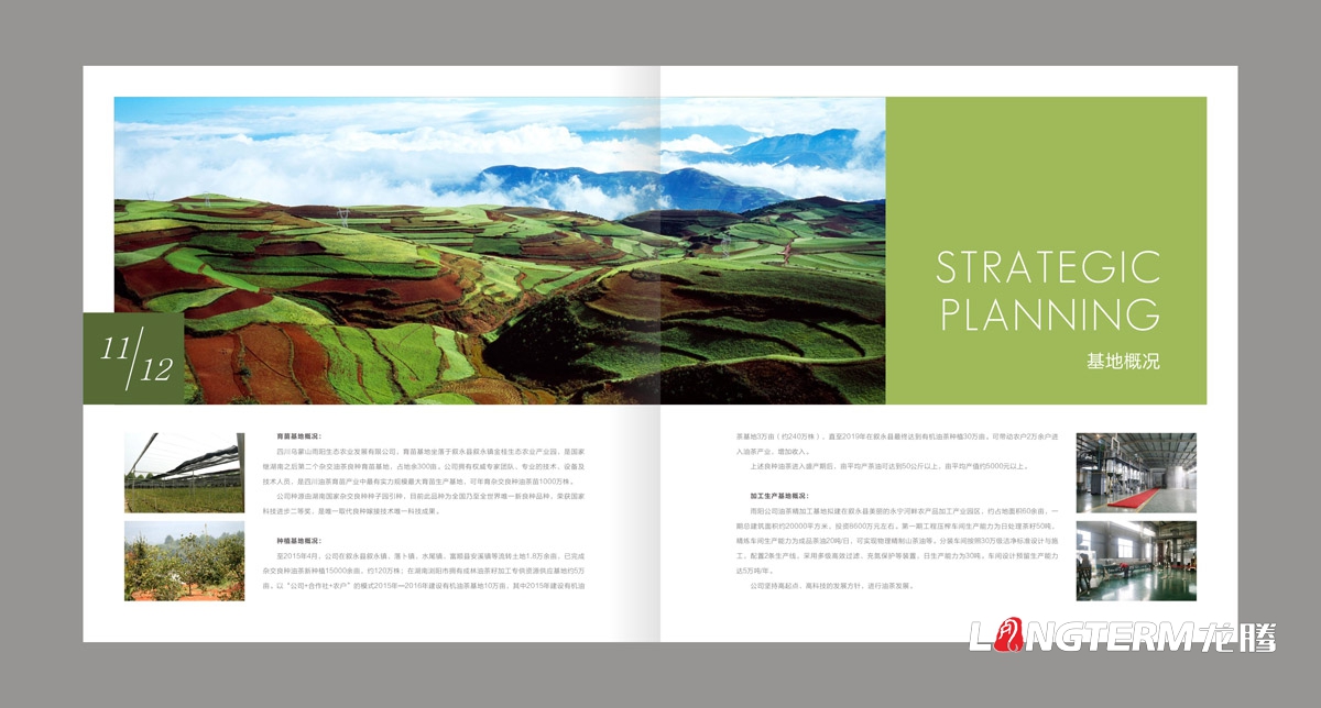 東方烏蒙企業形象畫冊設計|茶油產業基地宣傳冊設計|鄉村生態旅游宣傳畫冊設計