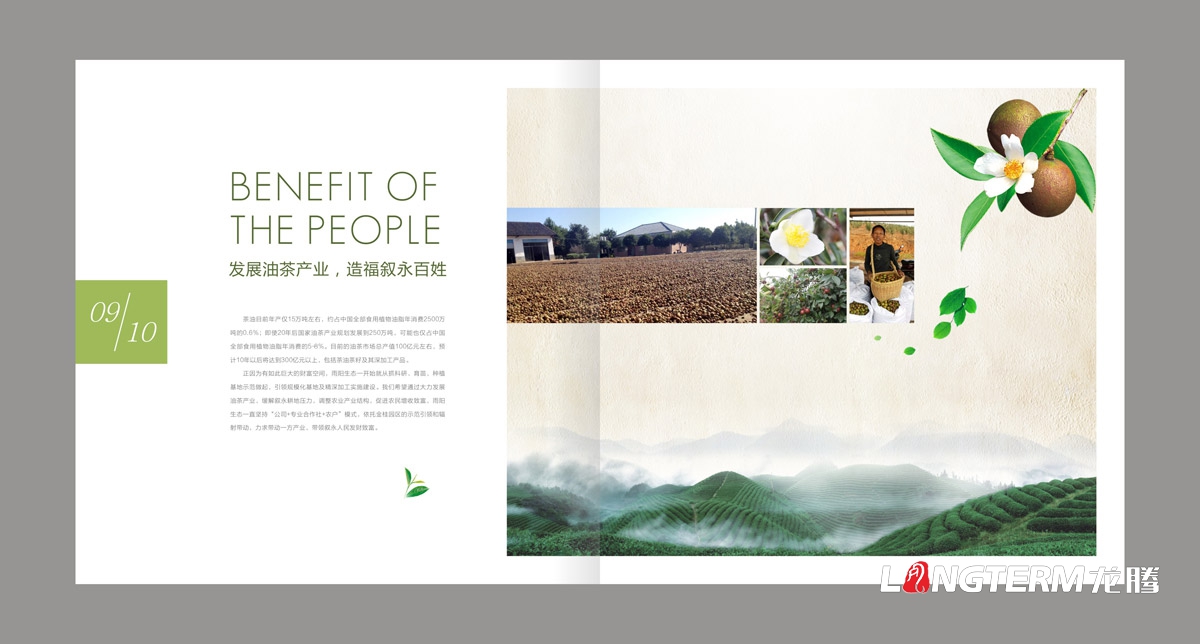 東方烏蒙企業形象畫冊設計|茶油產業基地宣傳冊設計|鄉村生態旅游宣傳畫冊設計