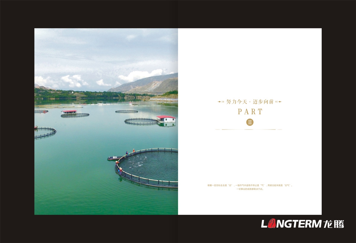 青海聯合水產集團畫冊設計|生鮮水產公司宣傳冊設計印刷制作