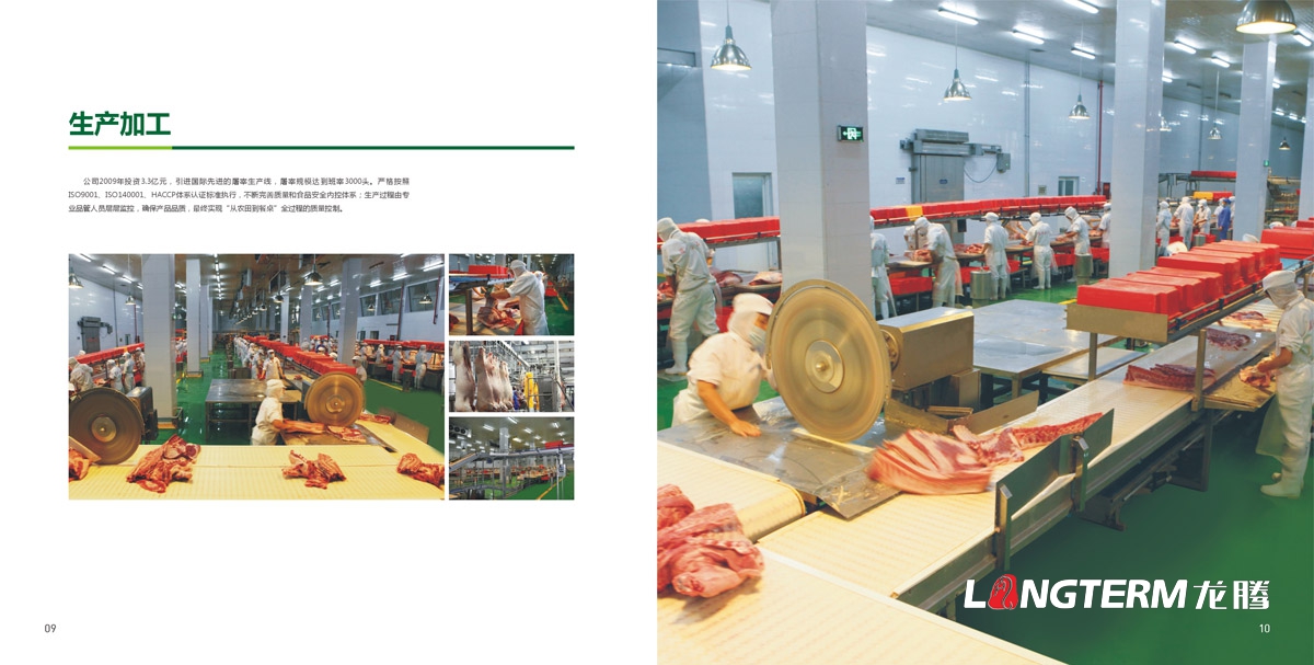 四川省井研食品有限責任公司畫冊設計|樂山市食品工業園企業形象宣傳冊設計