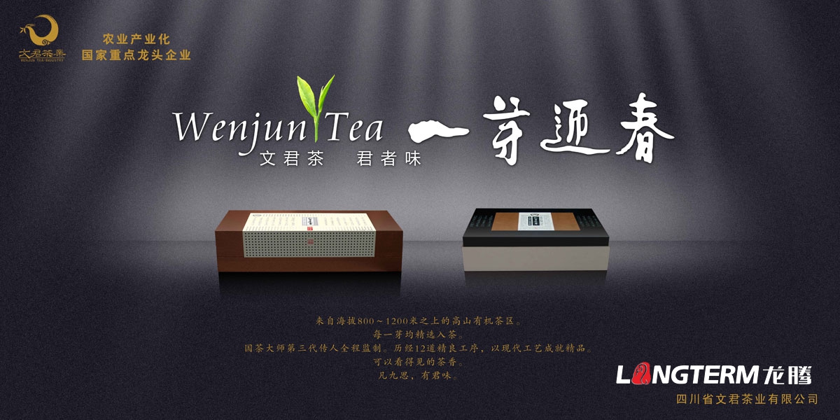 文君茶宣傳海報設計|茶業西博會茶博會宣傳形象海報設計