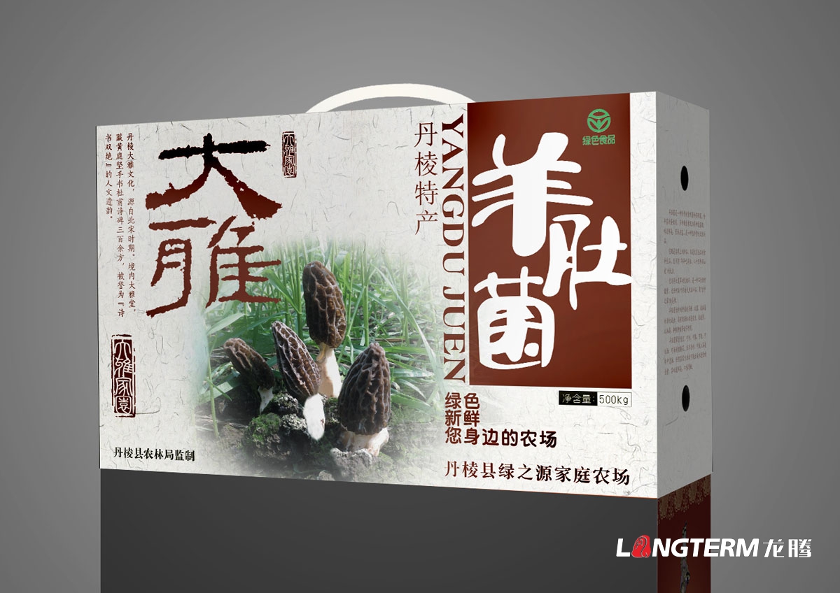 丹棱大雅羊肚菌包裝設計|養生保健品山珍菌類包裝禮盒設計效果圖|丹棱特色產品菌類包裝