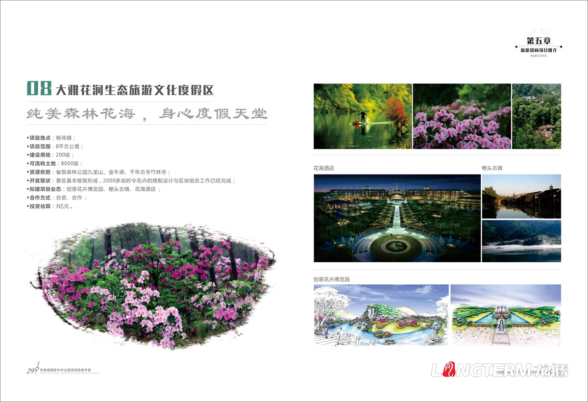 丹棱縣鄉村公園招商推介會手冊設計|中國大雅家園生態清新自然旅游發展宣傳冊設計效果圖