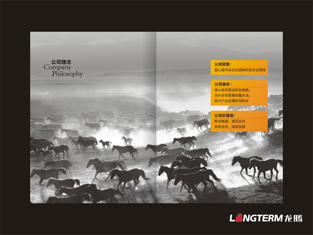 眉山控股公司畫冊設計|發展控股科技國有獨資產業投資公司形象宣傳冊設計