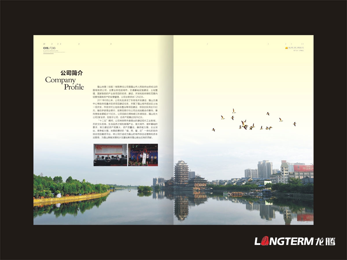 眉山控股公司畫冊設計|發展控股科技國有獨資產業投資公司形象宣傳冊設計