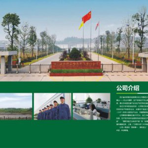 設計一本畫冊多少錢？