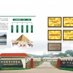 成都市青羊區品牌畫冊設計公司