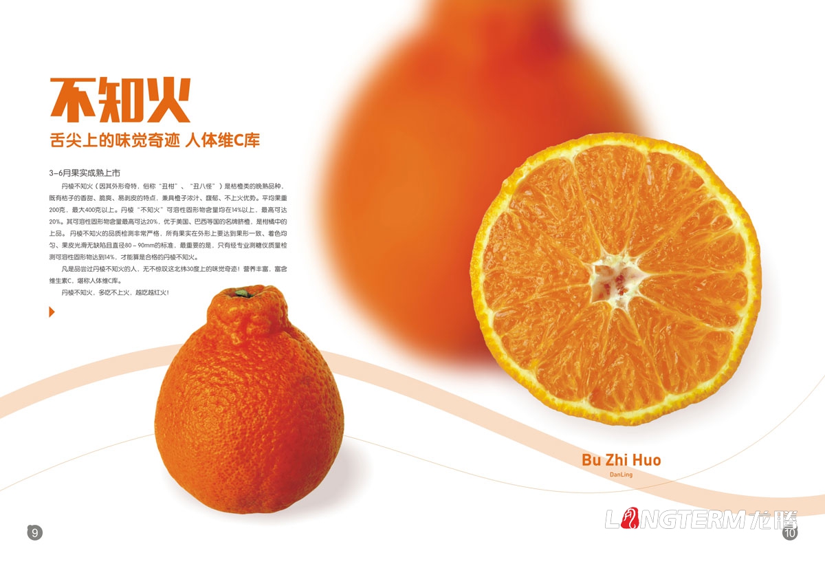 果業公司畫冊設計印刷定制廠家|水果產品宣傳手冊加工|果園基地種植招商加盟手冊設計定制|手繪形象宣傳冊
