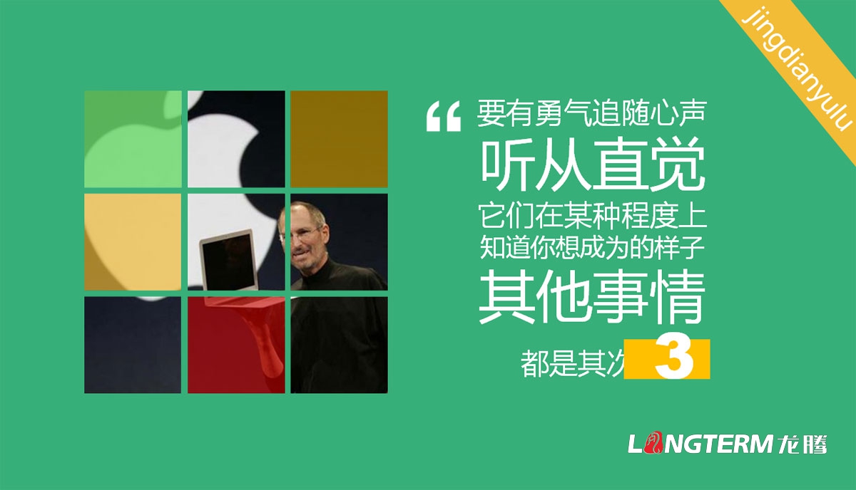 成都ppt設計制作公司|優秀簡單簡潔大氣高端原創創意幻燈片設計制作|公司介紹PPT招商宣傳發布匯報
