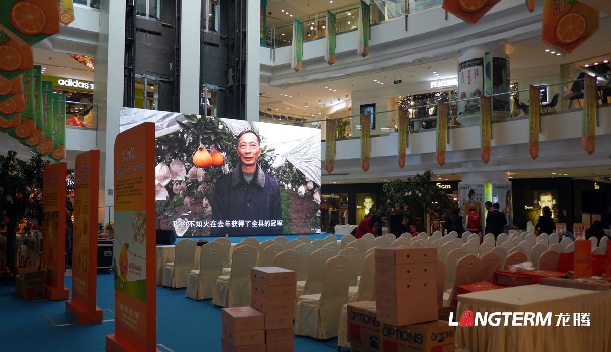 桔橙產品推廣品牌營銷策劃形象設計|柑子橘子桔橙橙子柚子廣柑臍橙LOGO商標VI標志品牌建設