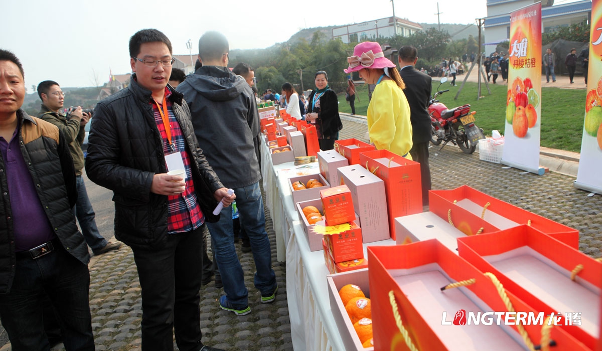 桔橙產品推廣品牌營銷策劃形象設計|柑子橘子桔橙橙子柚子廣柑臍橙LOGO商標VI標志品牌建設