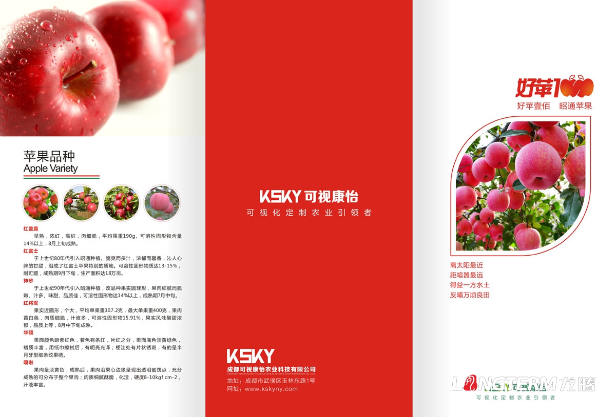 成都蘋果品牌營銷策劃推廣宣傳設計|水果品牌形象VI設計商標標志LOGO設計|蘋果品牌運營宣傳推廣公司