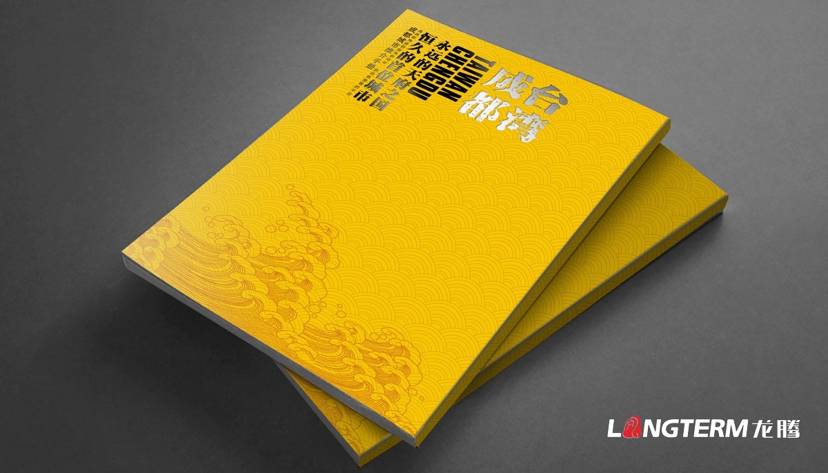 成都電子科技公司形象宣傳畫冊設計|信息技術設備工程公司品牌宣傳冊設計
