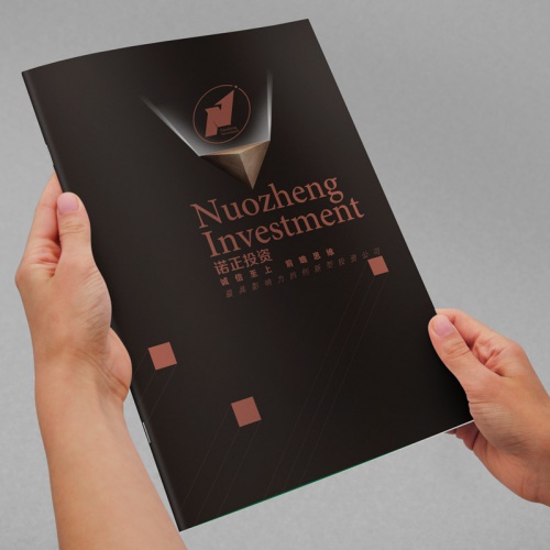 企業畫冊設計-四川投資管理公司形象宣傳冊設計效果圖|投資管理企業品牌畫冊設計印刷制作