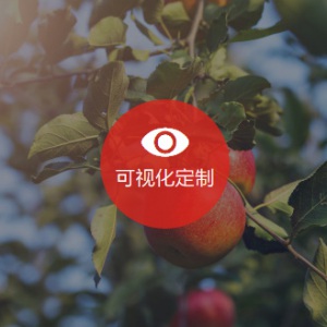 成都可視康怡農業科技有限公司官網設計正在進行中