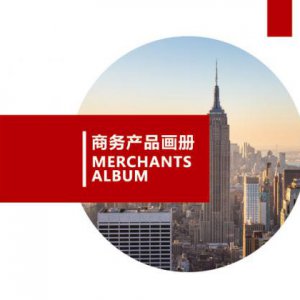 成都商務公司形象宣傳畫冊設計