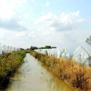 茶葉企業需要品牌來獲得企業競爭優勢