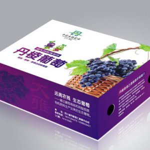 水果品牌策劃公司：佳沛維持斗爭優勢的兩個方面