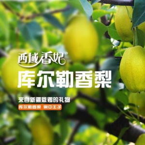 龍騰為西域香妃設計電商產品詳情頁