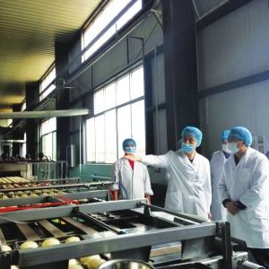 臥龍鎮藏小二食品加工有限公司正式委托龍騰設計LOGO及商標注冊