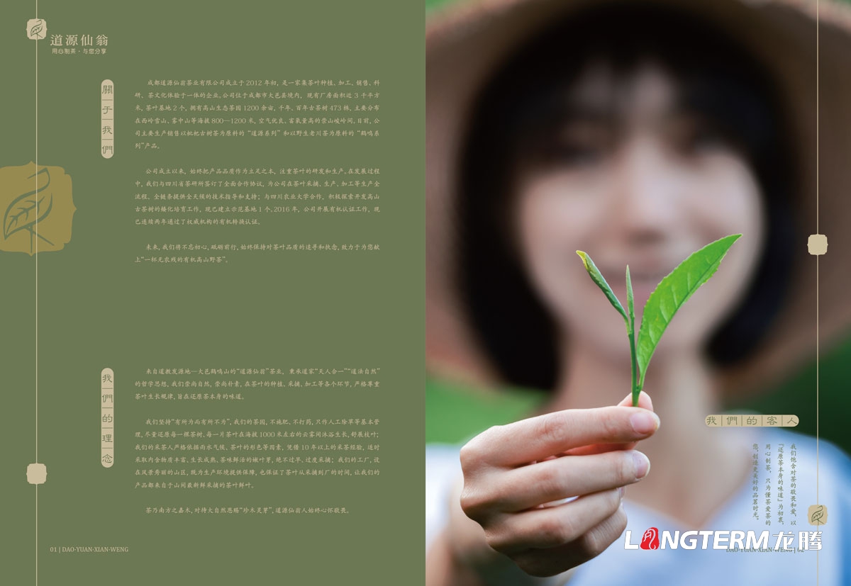 成都道源仙翁茶業有限公司茶葉宣傳設計_大邑縣茶葉產品宣傳手冊設計公司_茶葉公司企業形象宣傳畫冊設計