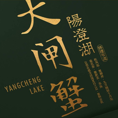 食品包裝設計-蘇漁大閘蟹產品包裝方案提升設計方案_大閘蟹禮品盒包裝設計_大閘蟹色彩搭配設計及包裝原創元素創意提煉