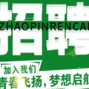 成都企業2019校園招聘海報設計公司