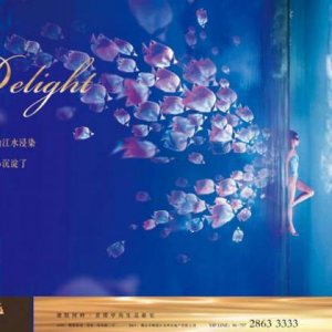 消費者到底要的是品牌還是品類？