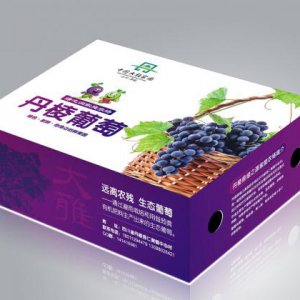 紅酒包裝設計怎樣更吸引大家眼球？