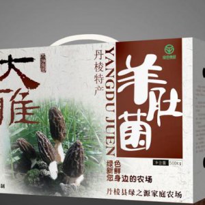 營銷策劃能夠解決企業哪些問題？