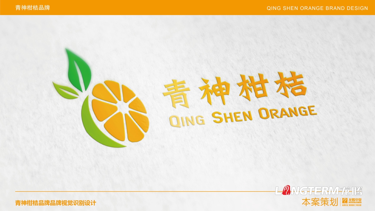 青神椪柑視覺品牌設計_眉山水果LOGO標志及形象包裝設計方案