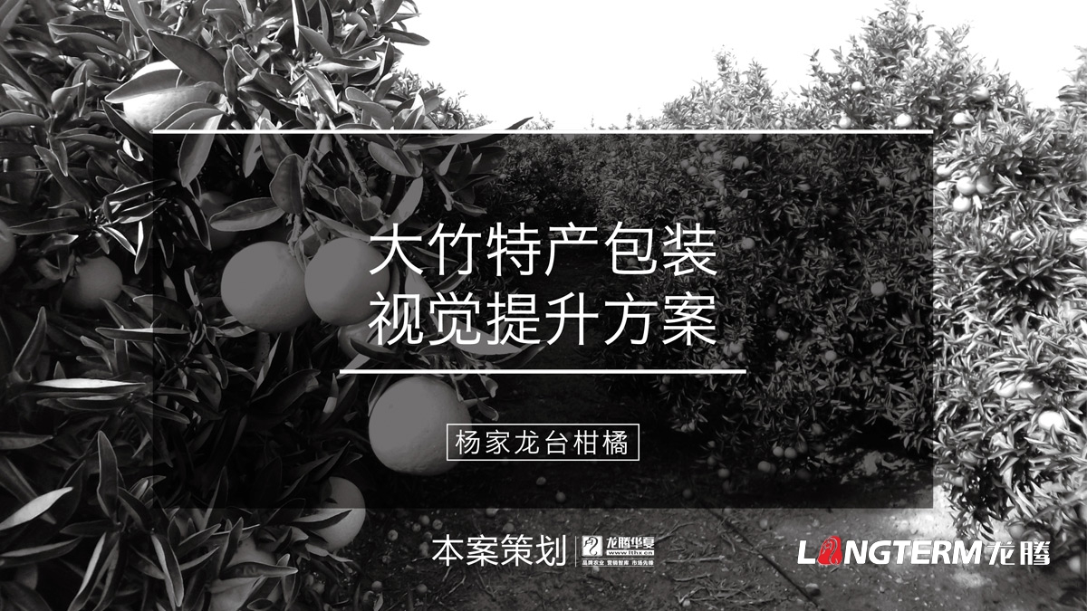楊家龍臺柑橘水果品牌包裝設計公司_大竹縣精品農產品禮盒包裝