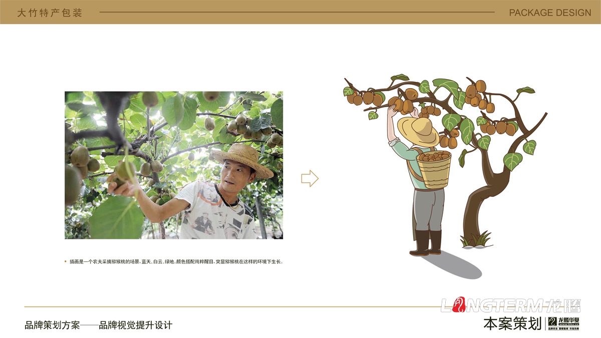 大竹特產紅心獼猴桃水果包裝設計_農產品快遞盒包裝箱設計公司