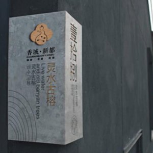 龍騰分享營銷策劃對企業有什么作用？