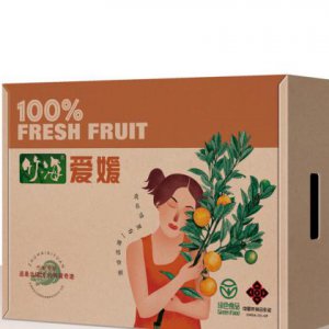 品牌包裝盒子的設計如何體現時尚？