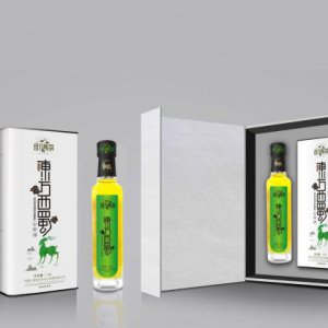 為什么西安的品牌設計很受歡迎？