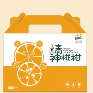 怎樣提高西安策劃中畫冊設計公司的知名度？