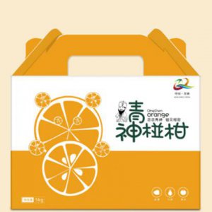網絡廣告策劃的流程