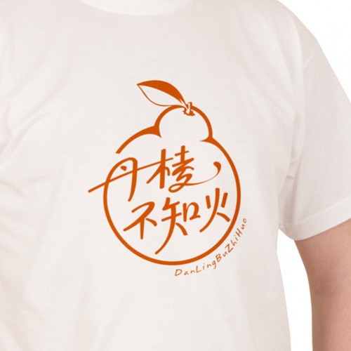VI設計-丹棱不知火品牌形象升級設計_眉山市丑柑桔橙水果產品品牌視覺識別系統LOGO及包裝設計
