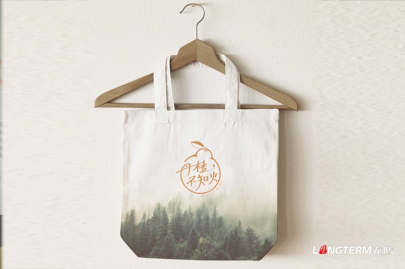 丹棱不知火品牌形象升級設計_眉山市丑柑桔橙水果產品品牌視覺識別系統LOGO及包裝設計