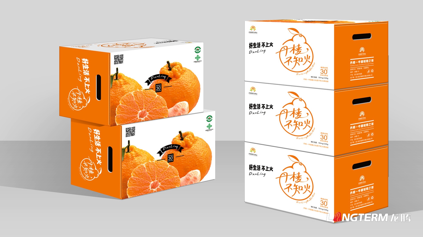 丹棱不知火品牌形象升級設計_眉山市丑柑桔橙水果產品品牌視覺識別系統LOGO及包裝設計