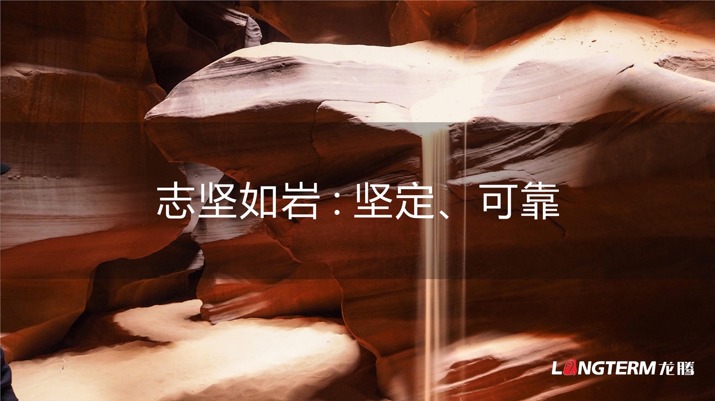四川海巖聲學科技有限公司LOGO設計_成都科技企業品牌視覺形象識別系統設計及VI設計