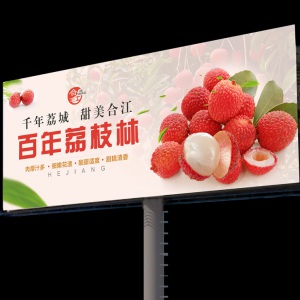 龍騰為合江縣農業局設計導視牌