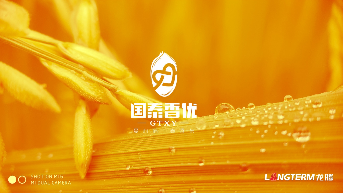 國泰香優品牌LOGO及VI設計_四川眾智種業科技有限公司品牌形象設計