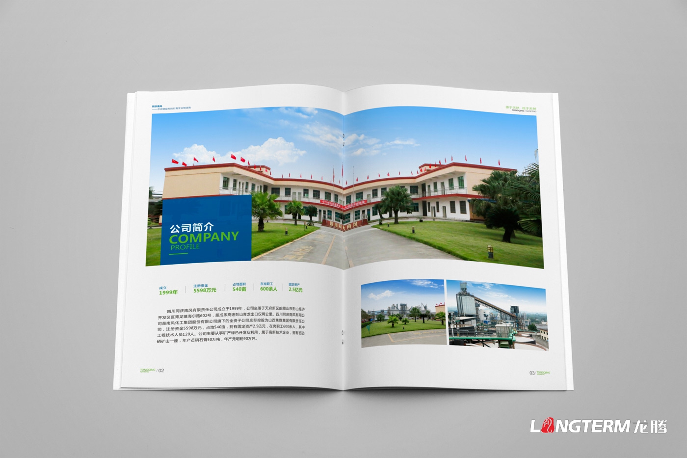四川同慶南風有限責任公司宣傳畫冊設計